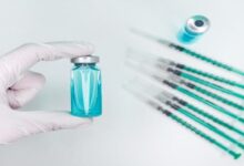 طبيب بيطري سعودي يقوم بتحصين المواشي لحمايتها من الأمراض